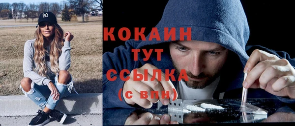 соль ск Арсеньев