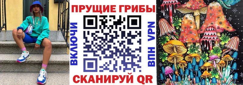 Псилоцибиновые грибы MAGIC MUSHROOMS  наркотики  Белокуриха 